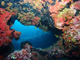 Pousada em Fernando de Noronha